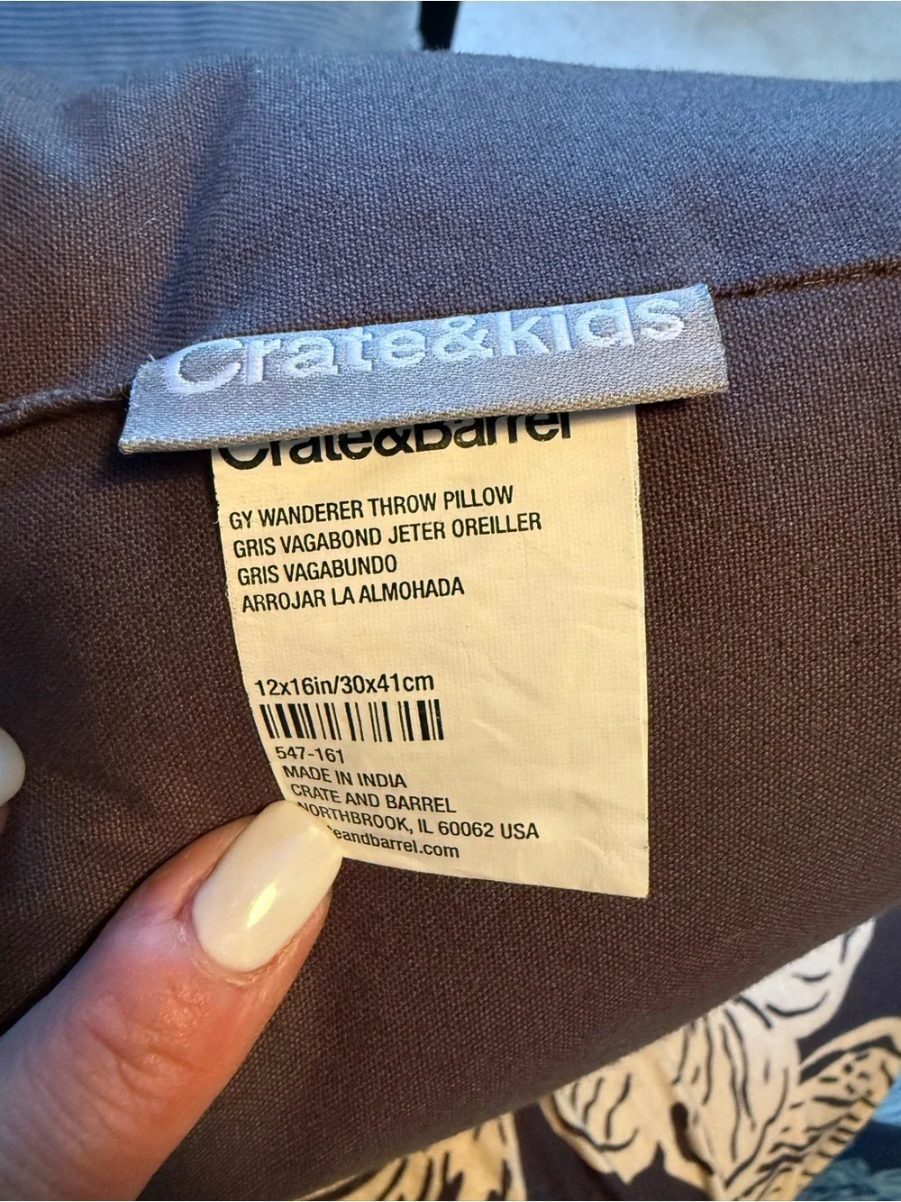 Crate&Barrel 'WANDERER' Pillow